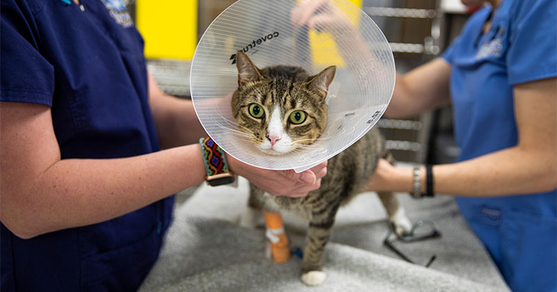 Urgent & Emergency Care